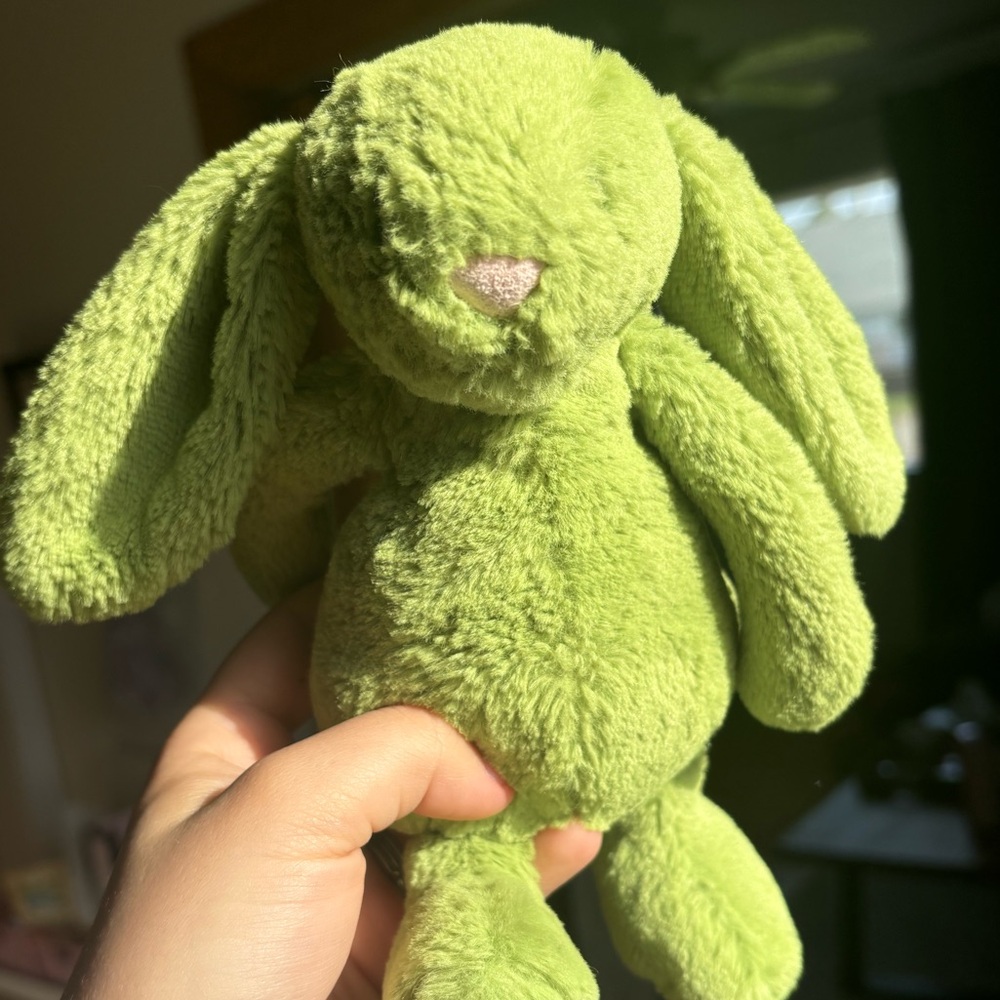 Jellycat Small Bashful Apple Bunny🍏
